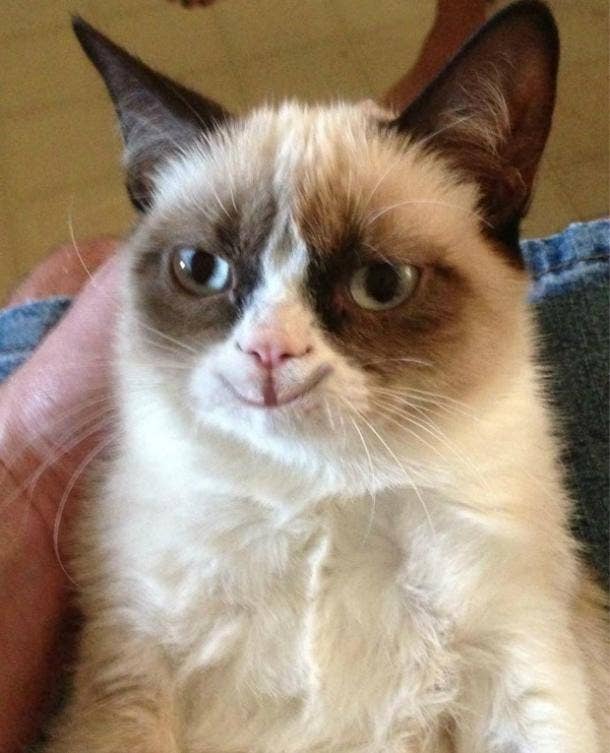 Grumpy cat shop i love you
